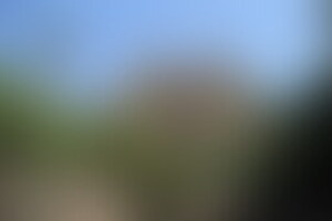 Фотография квеста Тайна фараона от компании Узник (Фото 1)