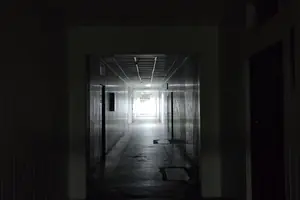 Псих на проводе