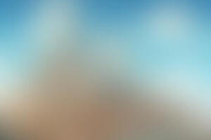 Фотография квеста Зверопоиск от компании Узник (Фото 1)