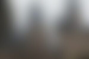 Фотография квеста Мир Гарри от компании Узник (Фото 1)