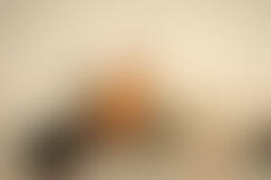 Фотография городского квеста Велодум от компании Questrit (Фото 1)