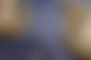 Фотография квеста-анимации Brawl Stars от компании Время магии (Фото 1)